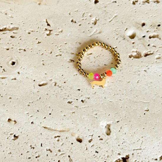 Ring Dackel Gold Edelstahl Bunt