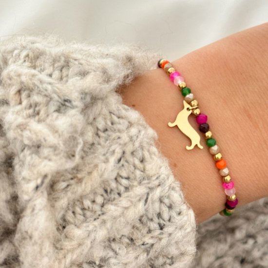 Armband Dackel Bunt Edelstahl