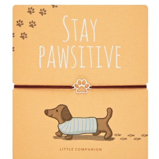Armband Stay Pawsitive